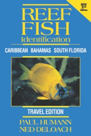 Reef Fish Identification - Travel Edition - Florida Caribbean Bahamas