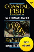 Coastal Fish PDF ebook