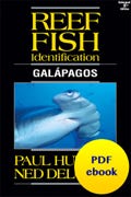 Reef Fish Galapagos PDF ebook