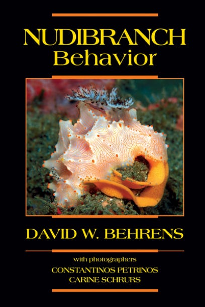 Nudibranch Behavior by David Behrens