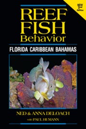 Fish Behavior - Florida Caribbean Bahamas