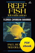 Reef Fish PDF ebook