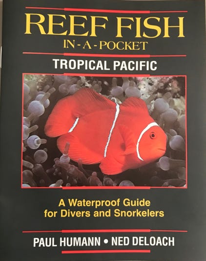 Waterproof field guide to Florida Caribbean and Bahamas