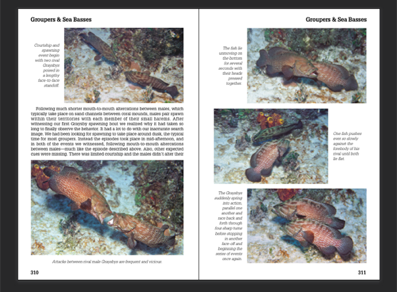 An actual page spread from Reef Fish Behavior Florida Caribbean Bahamas