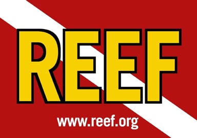 Reef Environmental Education Foundation Logo