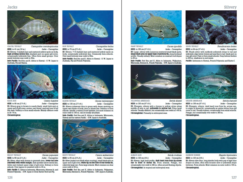 An actual page spread from Reef Fish Identification Tropical Pacific