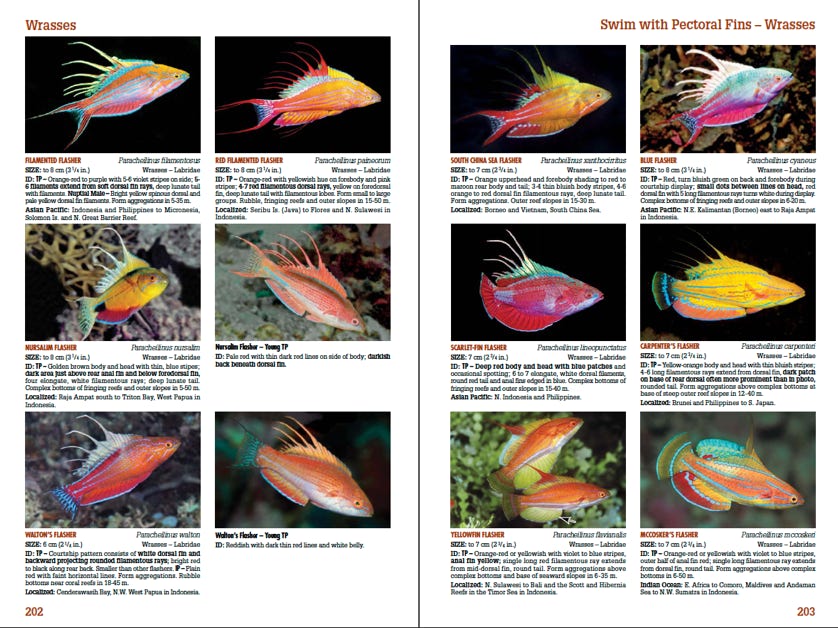 An actual page spread from Reef Fish Identification Tropical Pacific