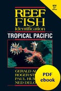 Reef Fish Tropical Pacific PDF ebook